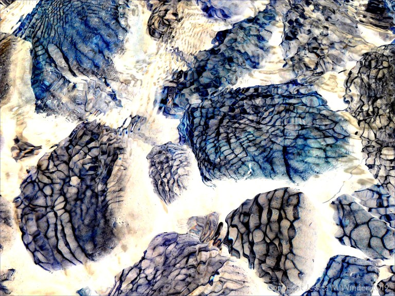 Part of a study of natural patterns of reflected light on river-bed pebbles
