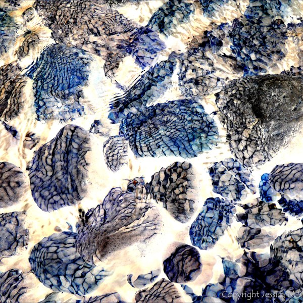 Part of a study of natural patterns of reflected light on river-bed pebbles