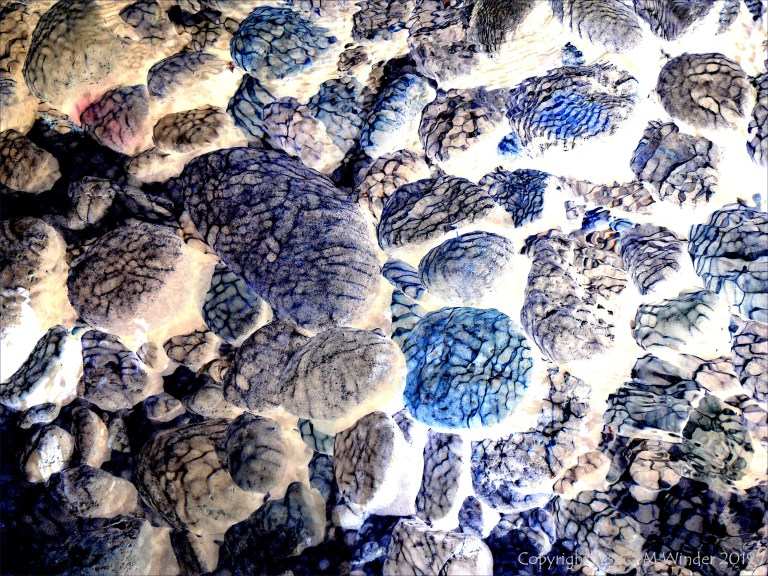 Part of a study of natural patterns of reflected light on river-bed pebbles