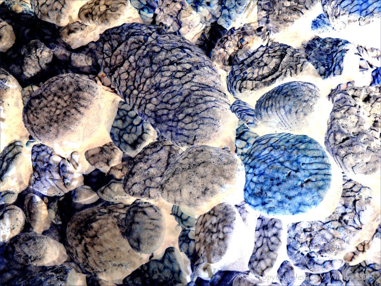 Part of a study of natural patterns of reflected light on river-bed pebbles