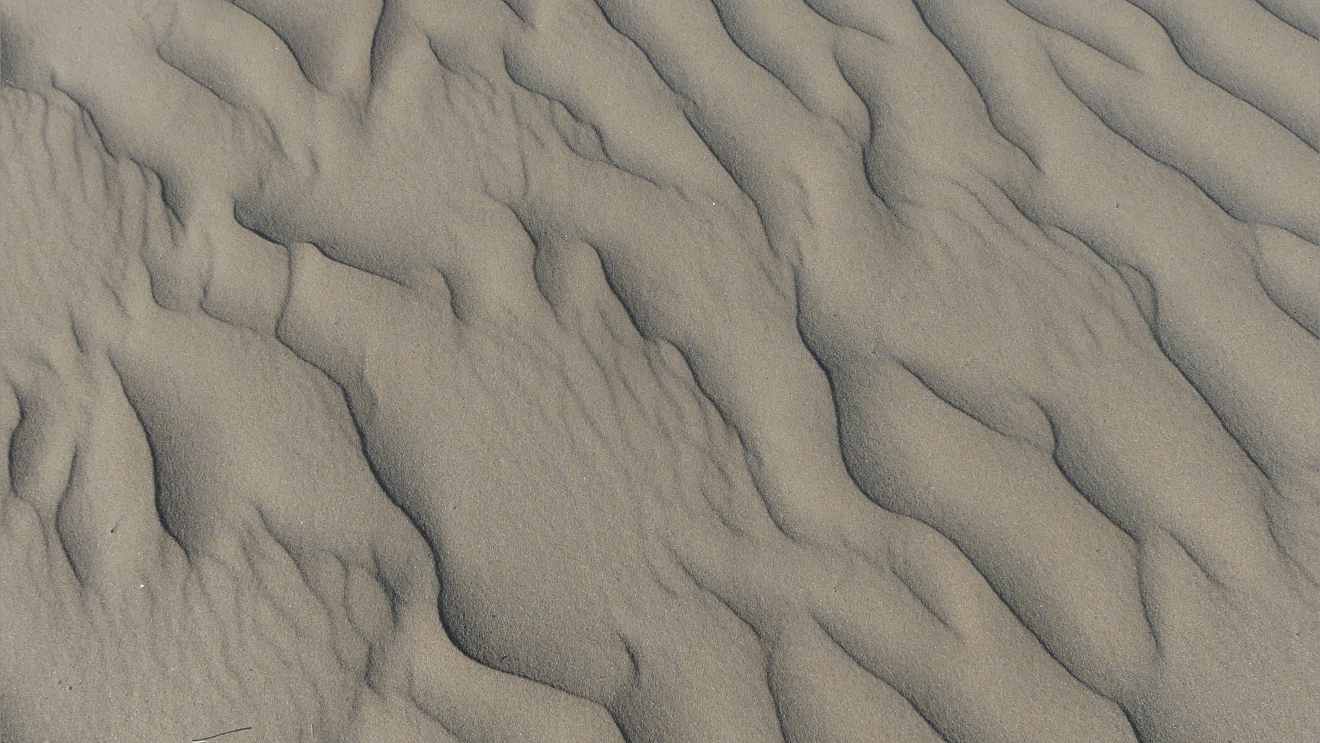 Natural patterns in wind-blown dry sand