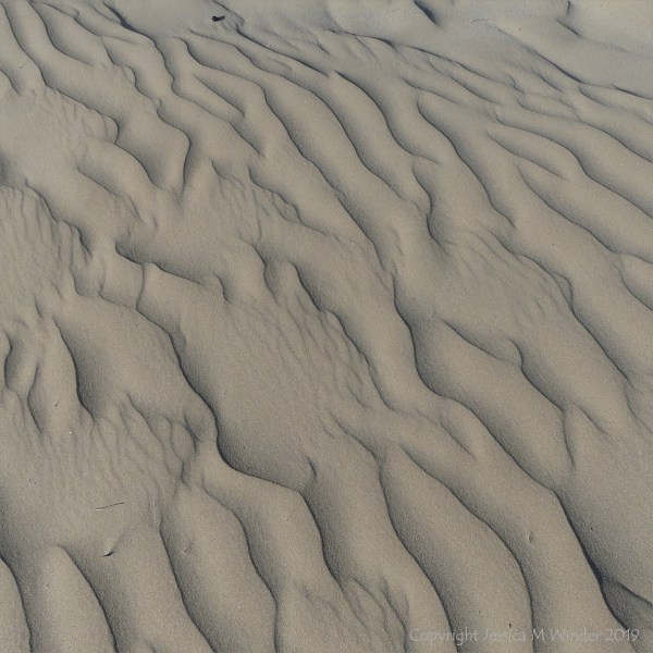 Natural patterns in wind-blown dry sand