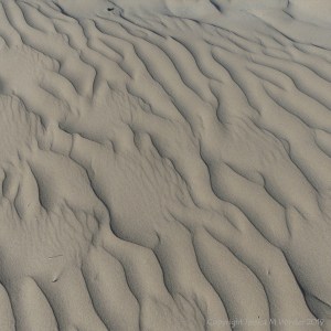 Natural patterns in wind-blown dry sand