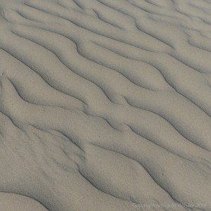 Natural patterns in wind-blown dry sand