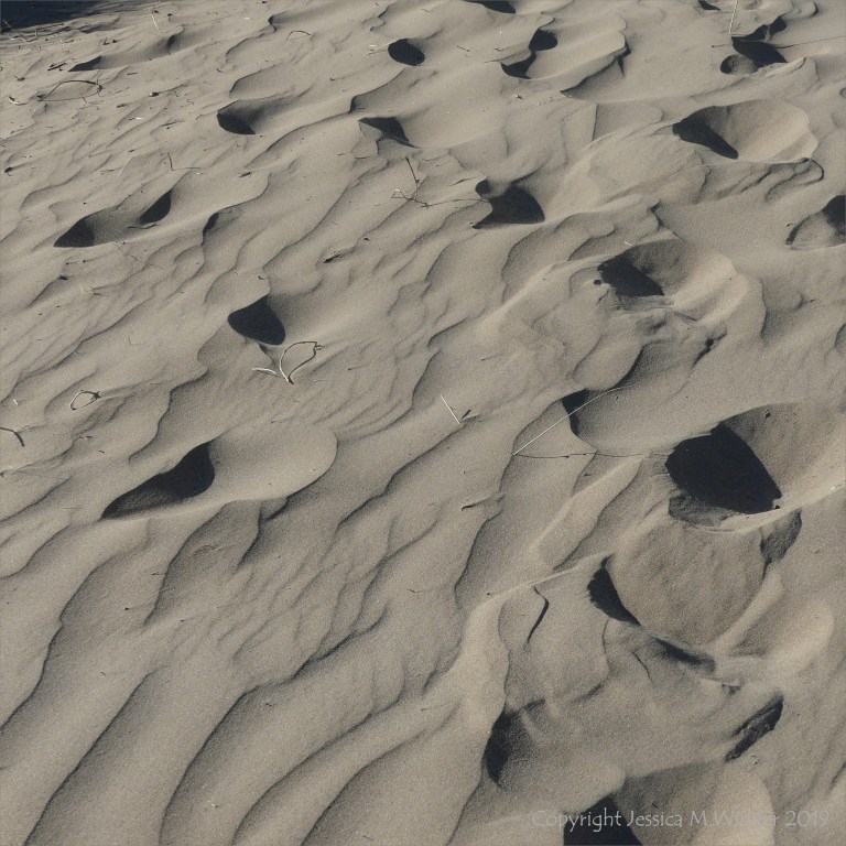Natural patterns in wind-blown dry sand