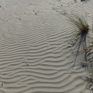 Natural patterns in wind-blown dry sand