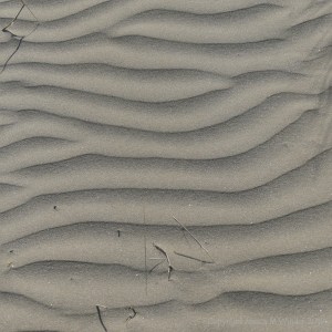 Natural patterns in wind-blown dry sand