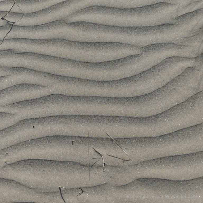 Natural patterns in wind-blown dry sand