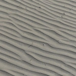Natural patterns in wind-blown dry sand