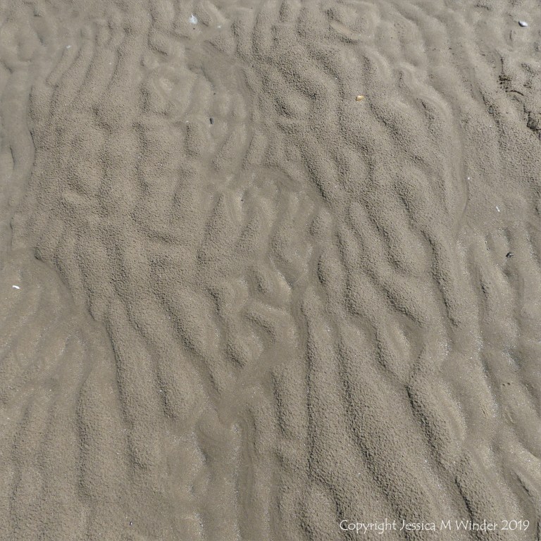 Natural sand patterns left by the ebbing tide