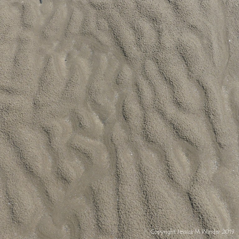 Natural sand patterns left by the ebbing tide