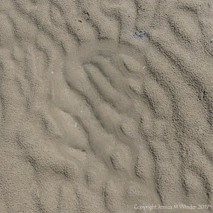 Natural sand patterns left by the ebbing tide