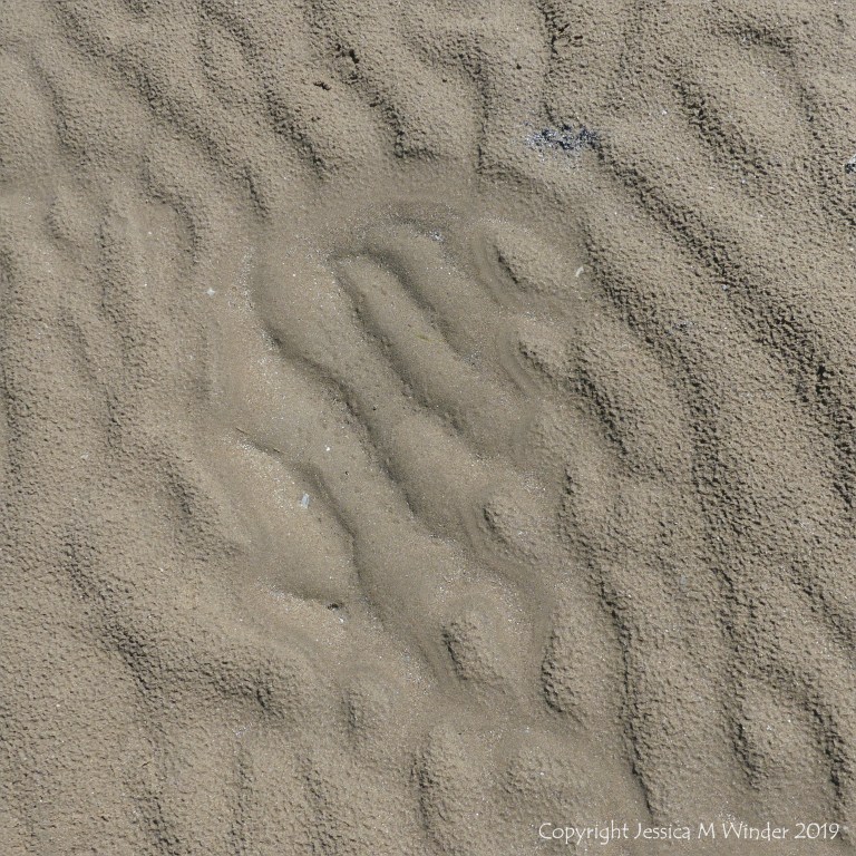 Natural sand patterns left by the ebbing tide