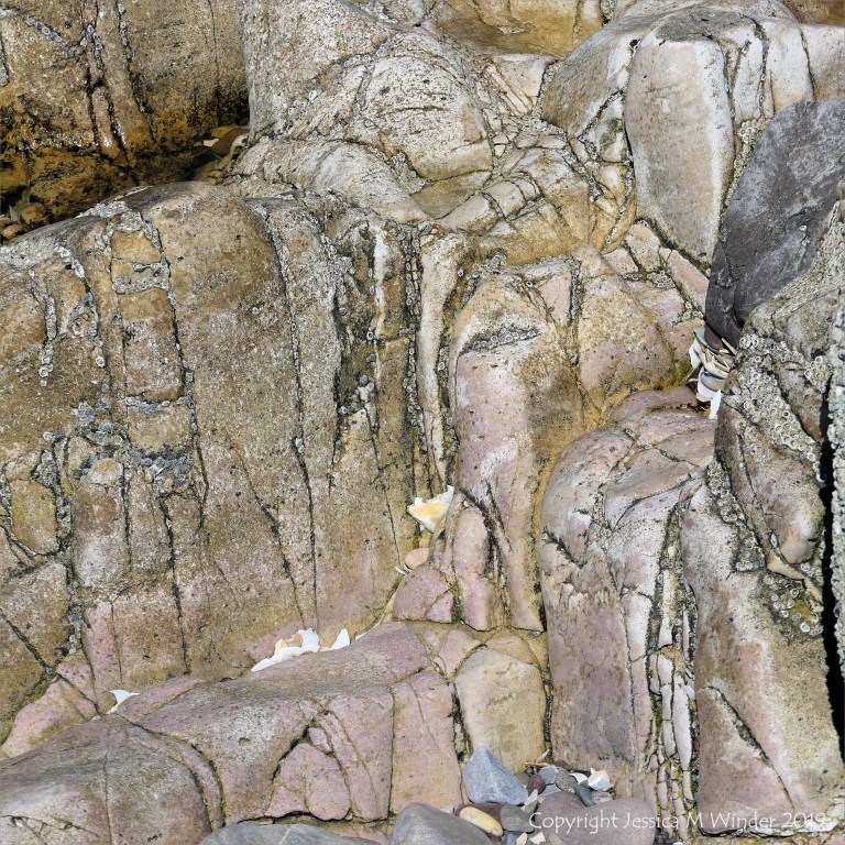 Seashore limestone rock pattern and texture