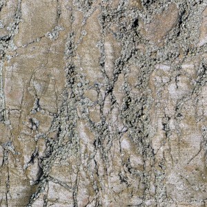 Seashore limestone rock pattern and texture