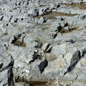 Seashore limestone rock pattern and texture