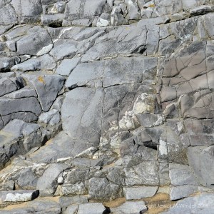 Seashore limestone rock pattern and texture
