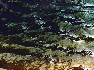 Water ripple variations