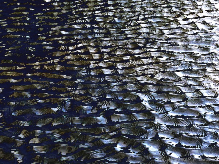 Water ripple variations