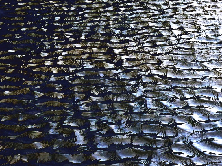 Water ripple variations