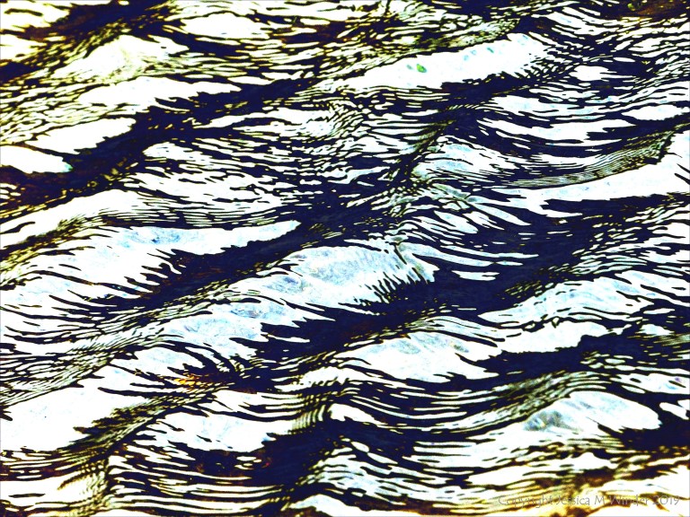 Variation in natural water ripple and reflection pattern