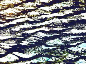 Variation in natural water ripple and reflection pattern