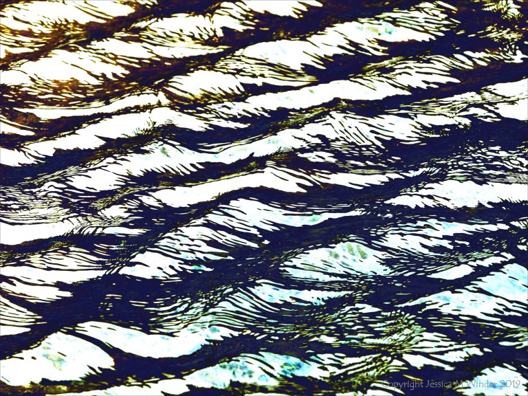 Variation in natural water ripple and reflection pattern