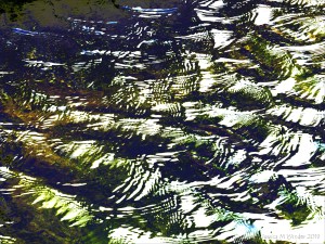 Variation in natural water ripple and reflection pattern