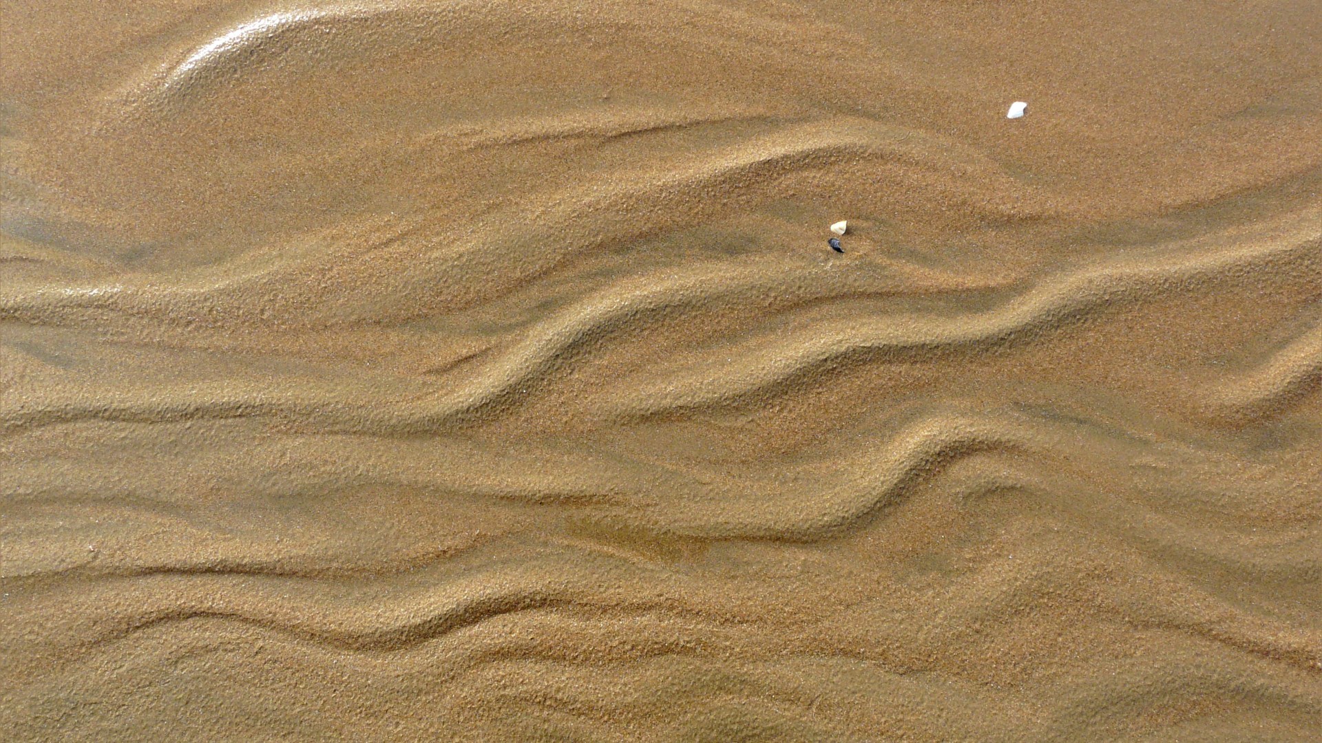 Natural sand texture and pattern on the beach