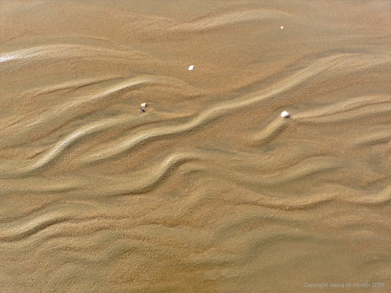Natural sand texture and pattern on the beach