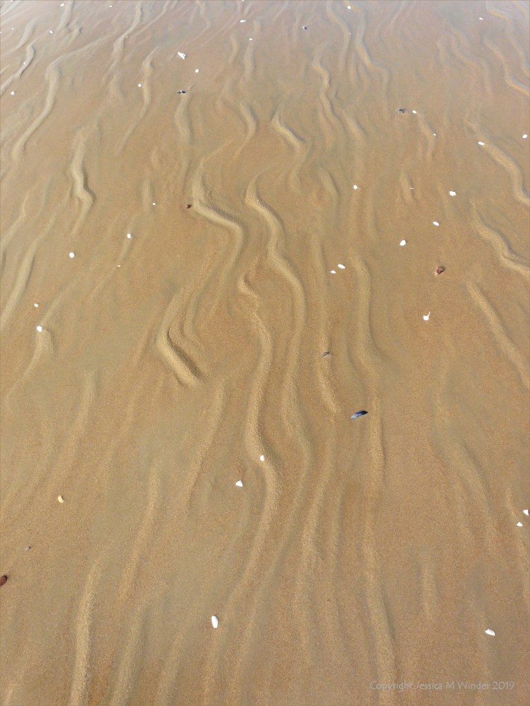 Natural sand texture and pattern on the beach