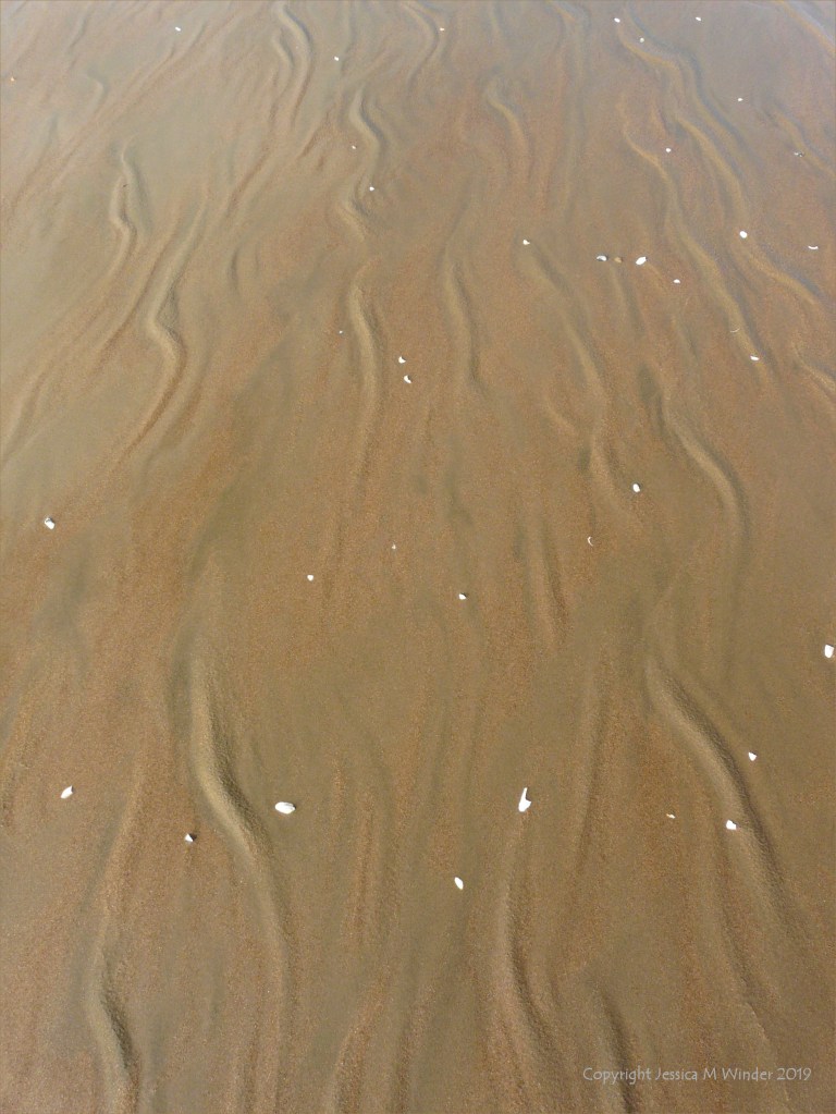 Natural sand texture and pattern on the beach