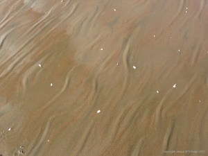 Natural sand texture and pattern on the beach