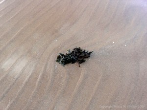Natural sand texture and pattern on the beach