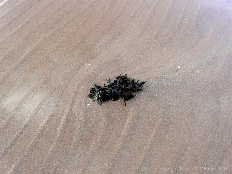 Natural sand texture and pattern on the beach