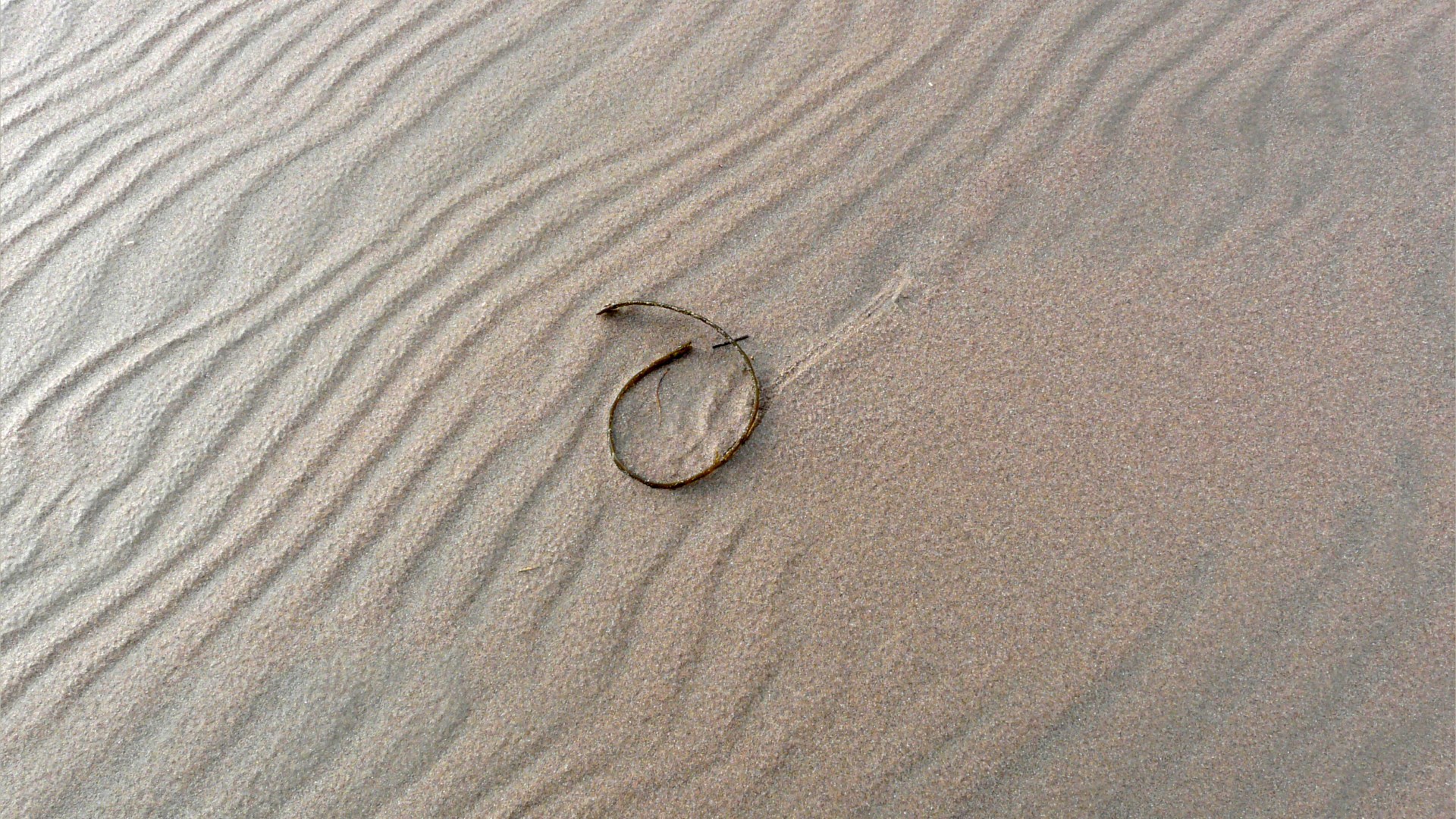 Natural sand texture and pattern on the beach