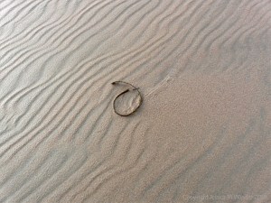 Natural sand texture and pattern on the beach