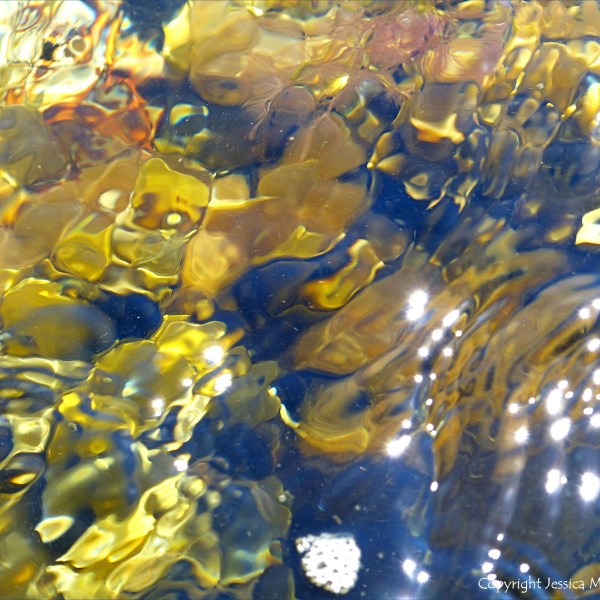 Seaweed under water as an abstract image