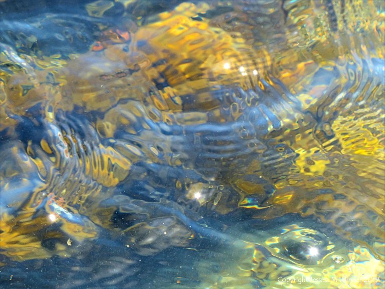 Seaweed under water as an abstract image