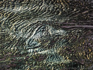 Nature-based abstract image