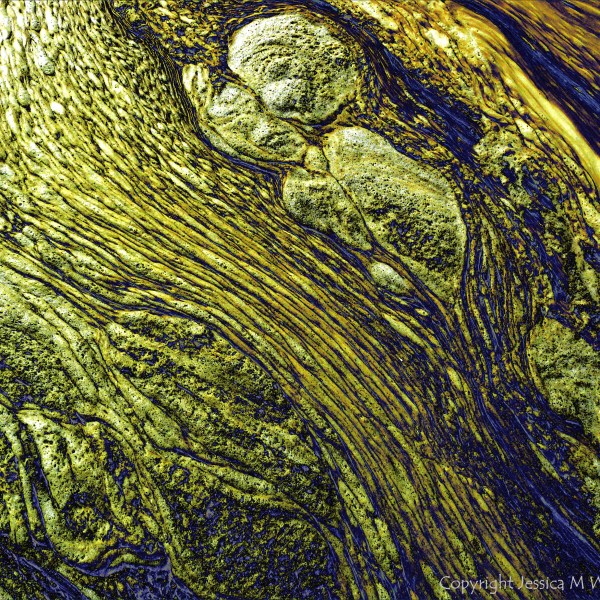 Nature-based abstract art