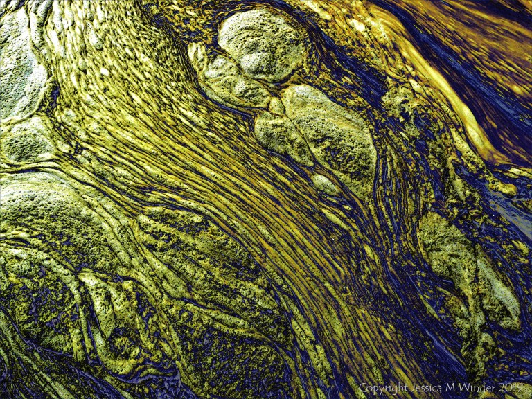 Nature-based abstract art