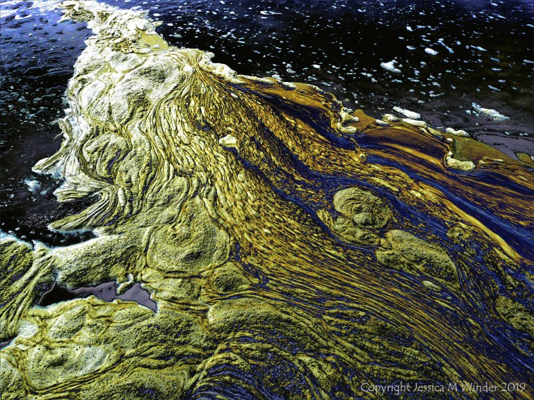 Nature-based abstract art