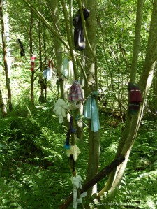 Votive offerings on trees at a sacred site