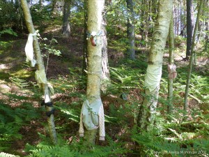 Votive offerings on trees at a sacred site