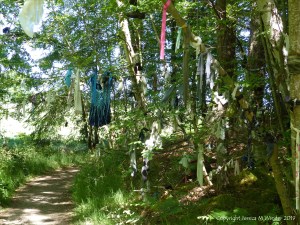 Votive offerings on trees at a sacred site