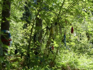 Votive offerings on trees at a sacred site