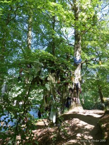 Votive offerings on trees at a sacred site