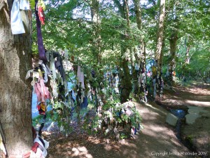 Votive offerings on trees at a sacred site