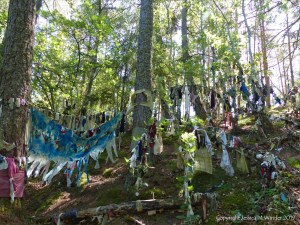 Votive offerings on trees at a sacred site